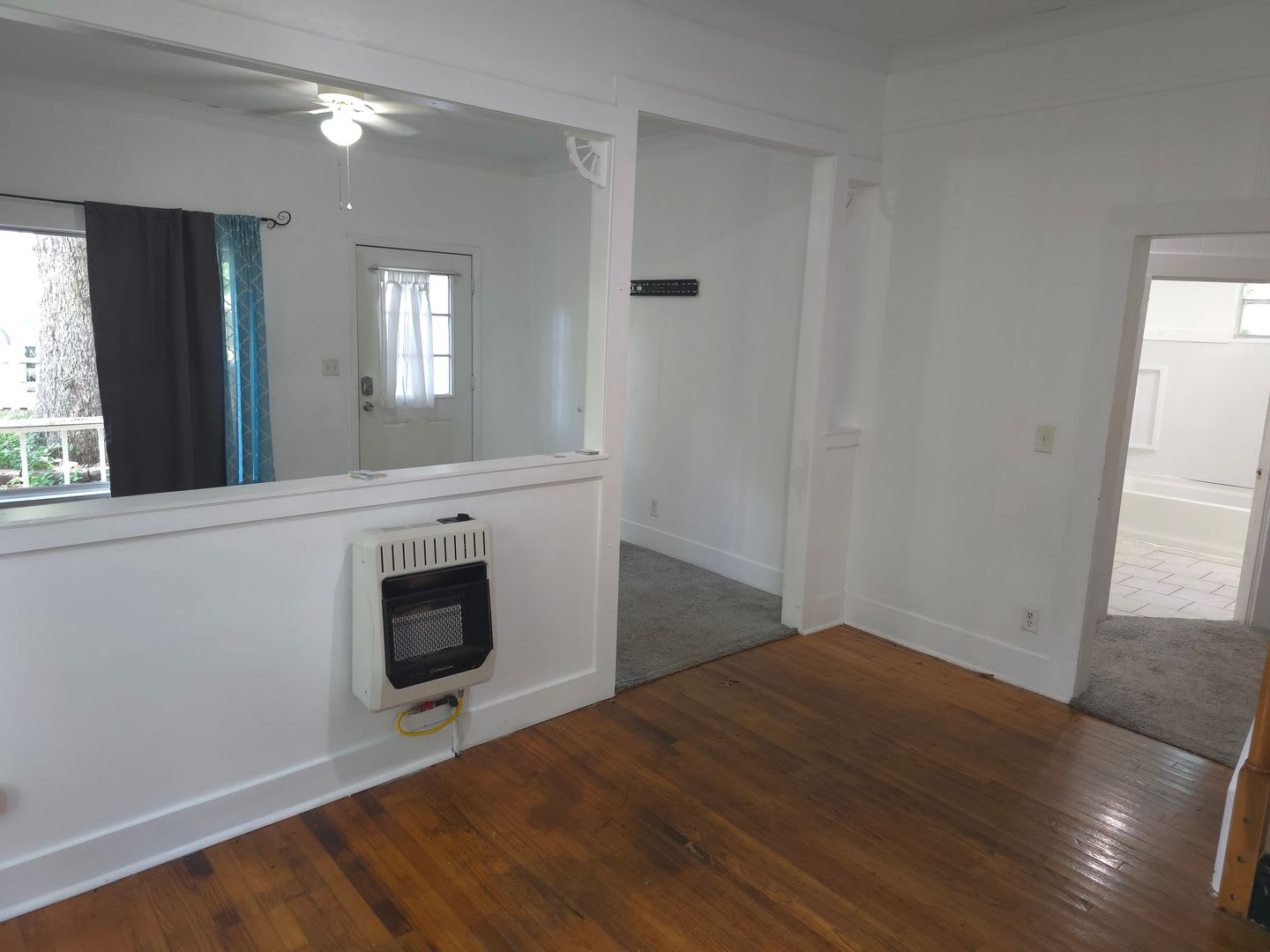 Historic Home in Downtown Hot Springs – photo 4