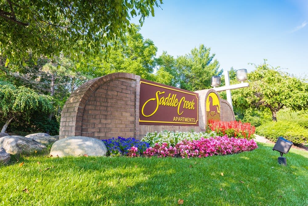 24672 Simmons Drive – photo 5