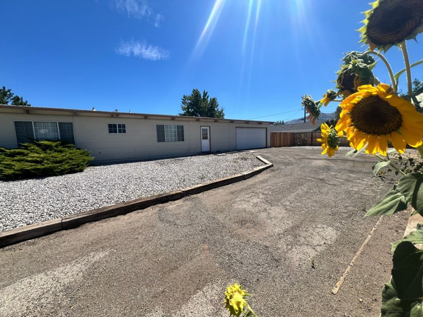<b> Four Bedroom Stead Home<br><br> – photo 3