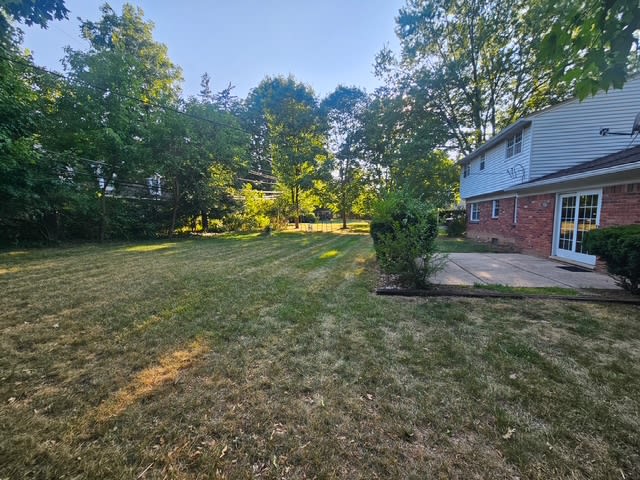 35241 Caryn Street – photo 3