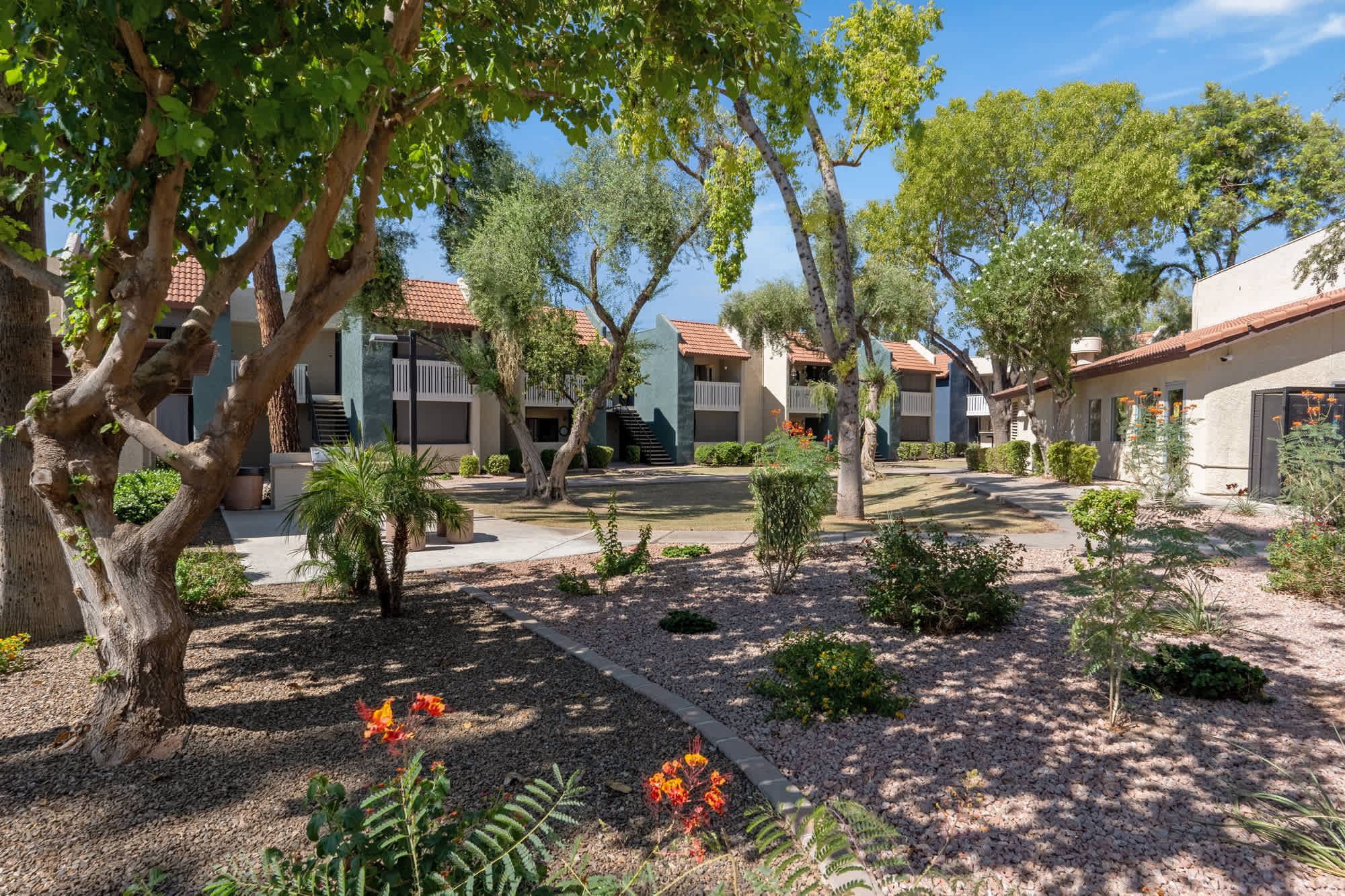 Oakridge Apartments – photo 3