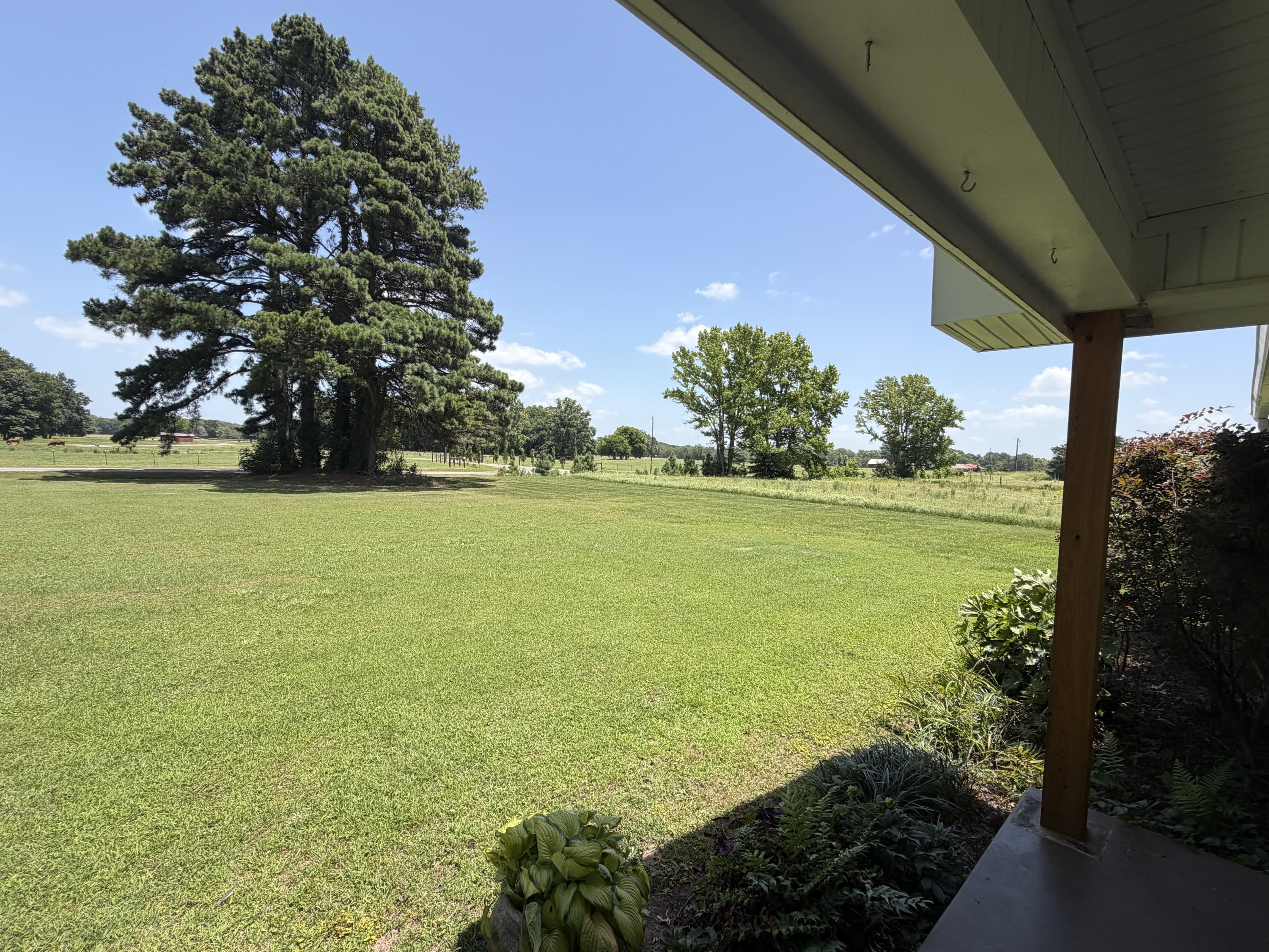 14738 Faulkner Lake Road – photo 4