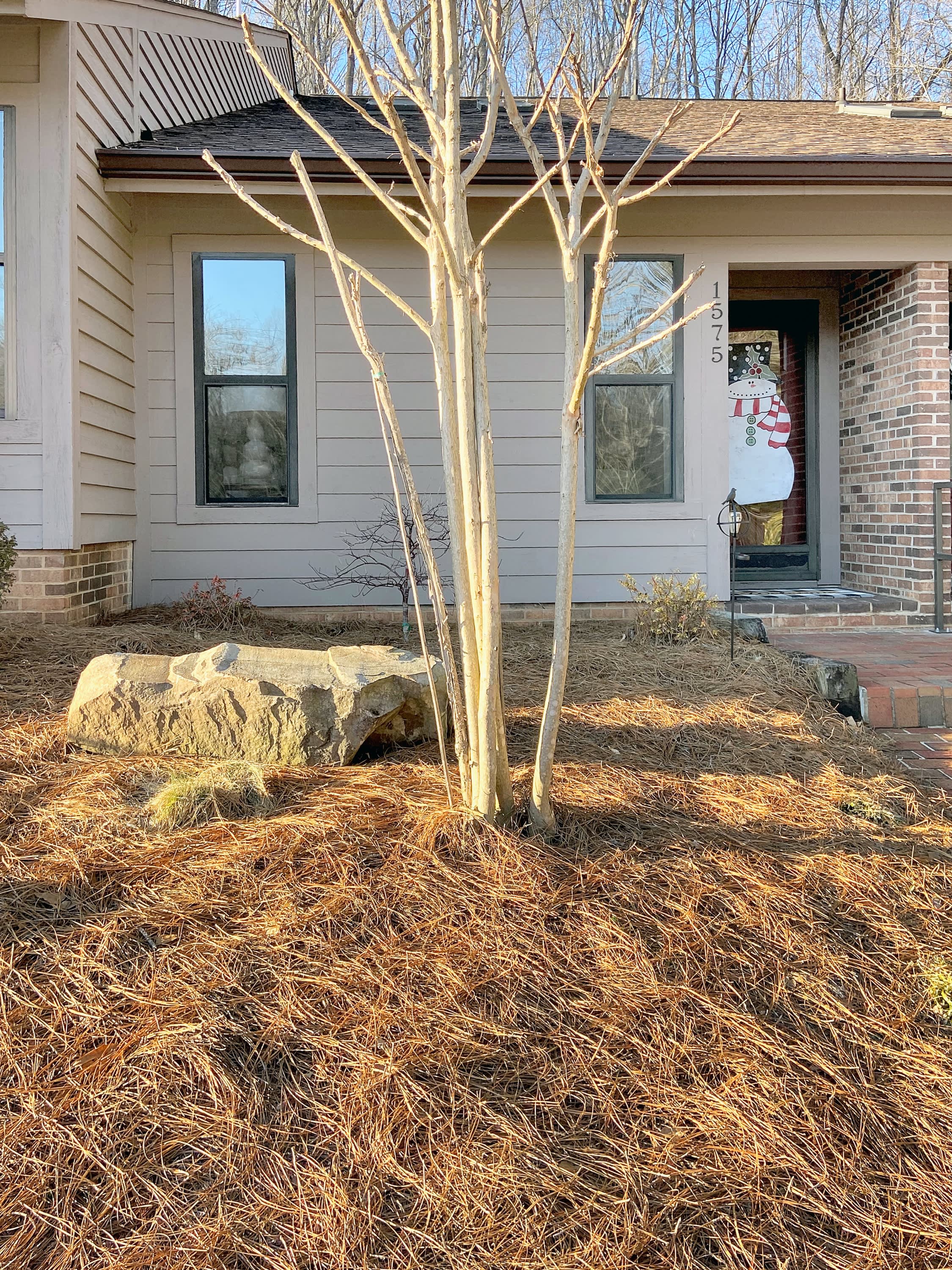 1575 Ivy Trce – photo 1