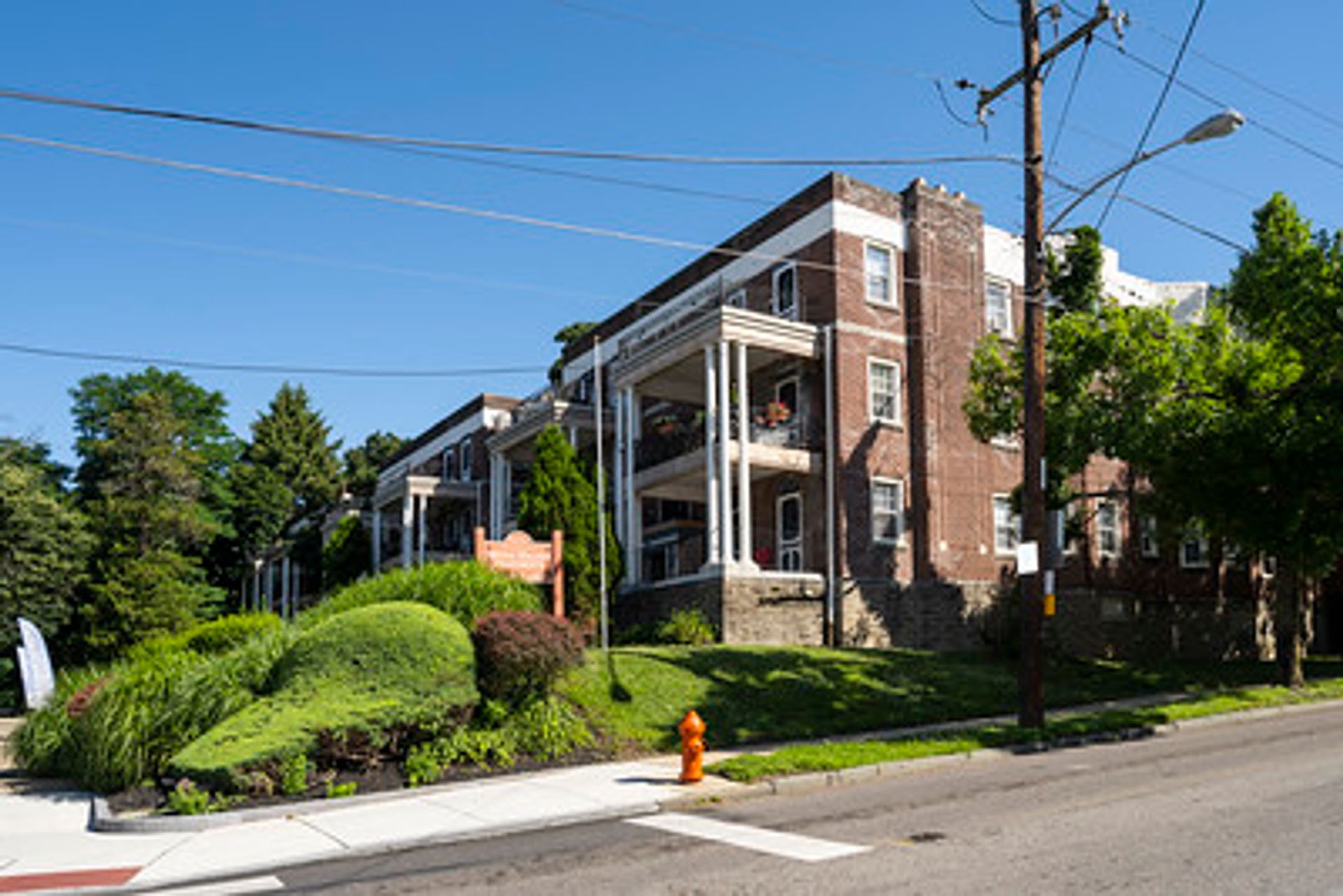 Wayne Walnut – photo 1