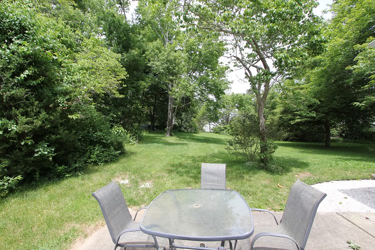 321 Williston Rd – photo 3