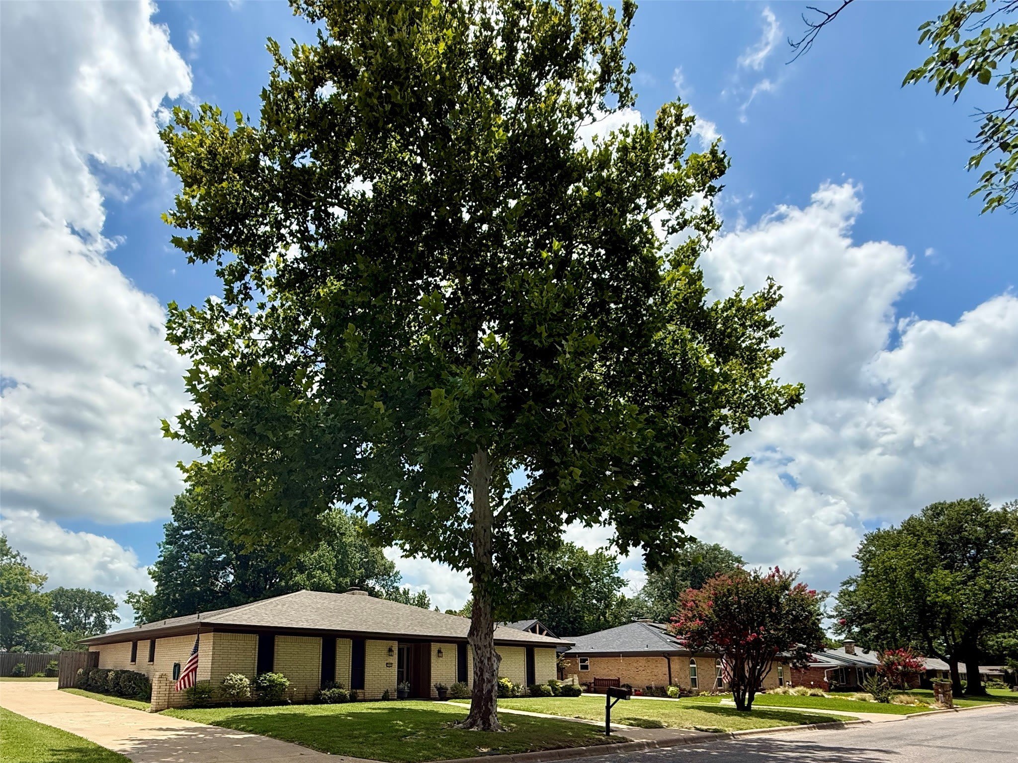 3005 Anthony Drive – photo 2
