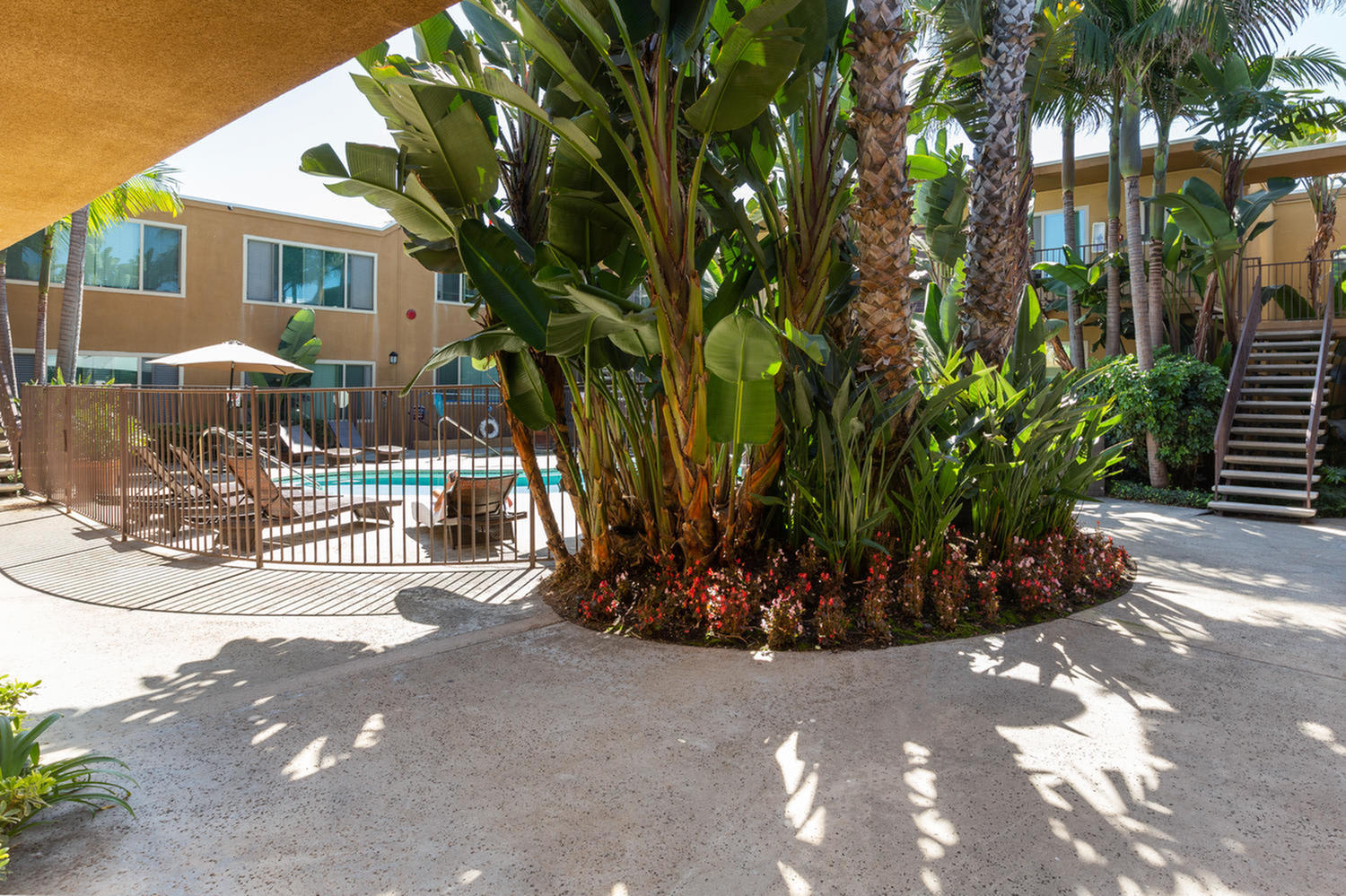 Elan Coco Palms – photo 2