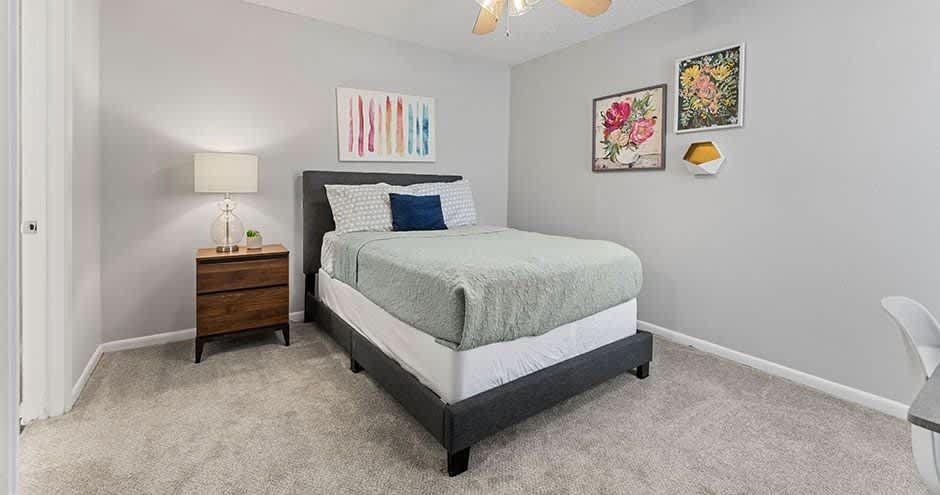 The Velora Apartments – photo 5