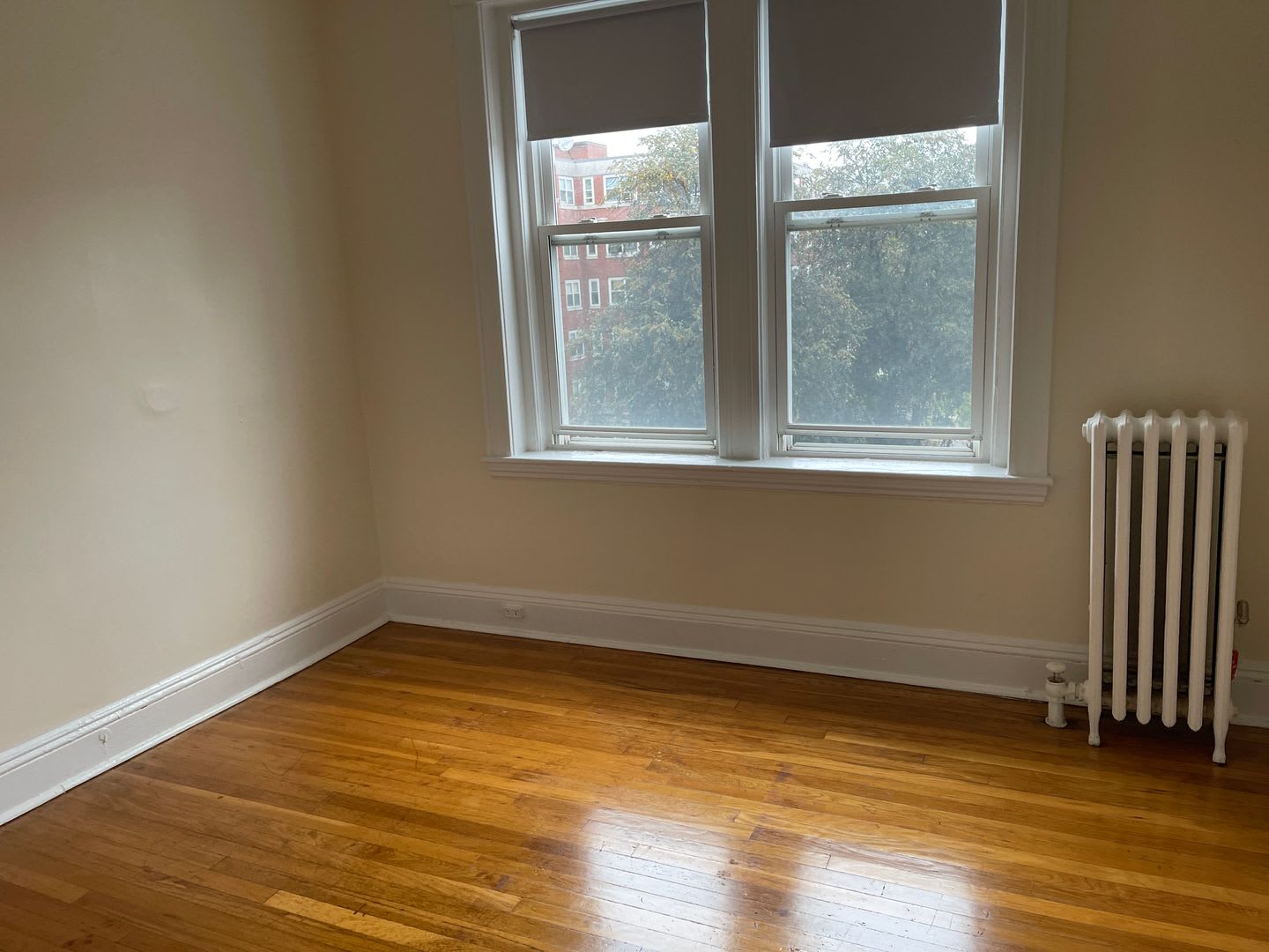 Brighton Near St Es Hospital and T stop 3rd Floor Super sunny spacious 2 bed Nice Place! – photo 4