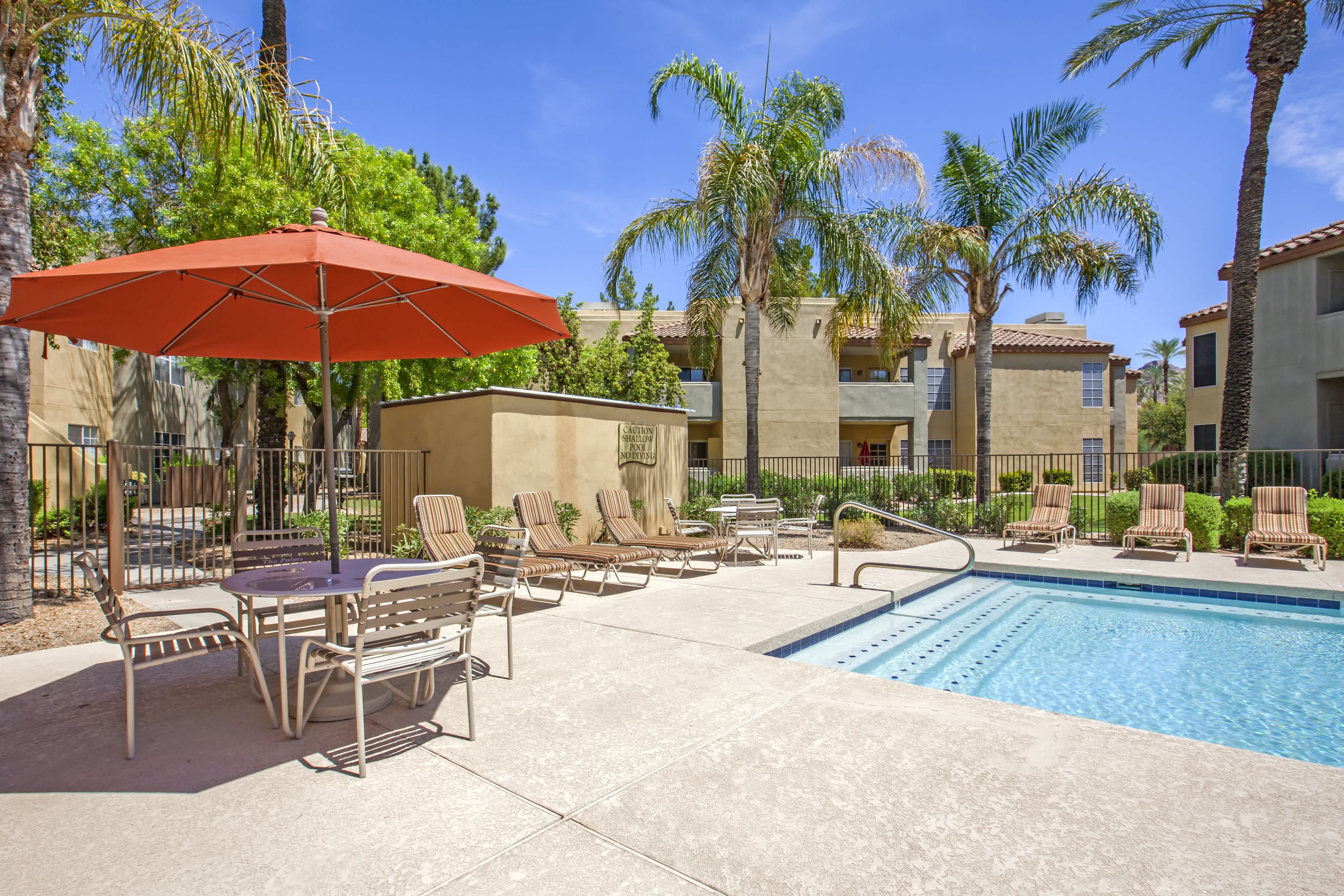 The Palms – photo 2