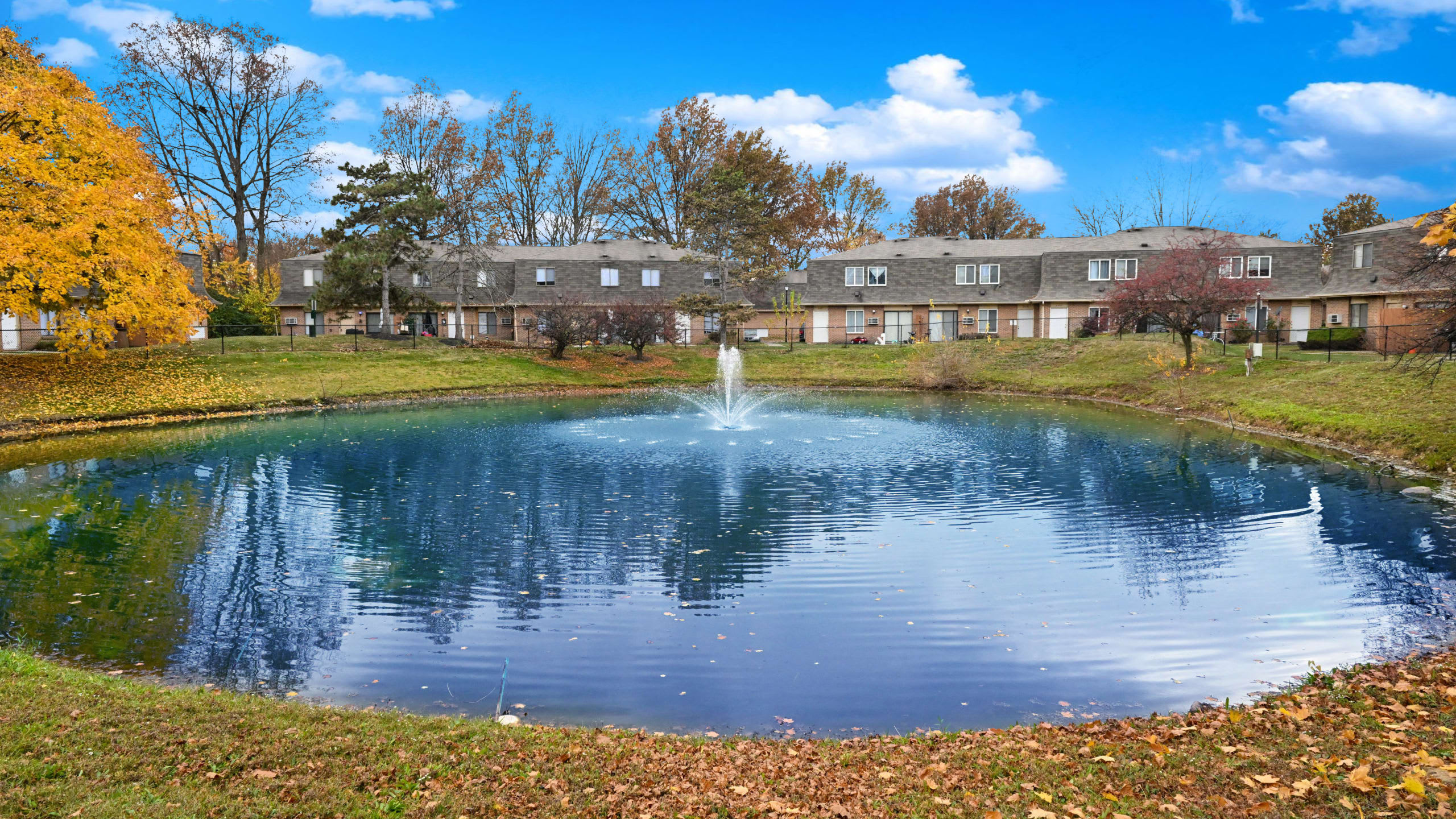 Mallards Landing – photo 3