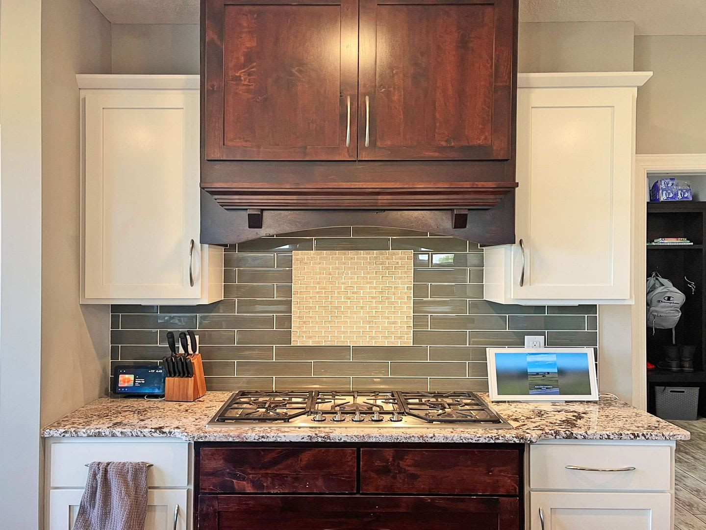 Big Beautiful Custom Home On Nature Preserve Gourmet Kitchen Granite 2 Fireplaces Primary Suite 3 Car Gar – photo 4