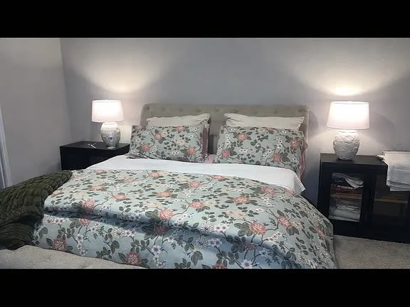 473 Apache Plum Dr – photo 2
