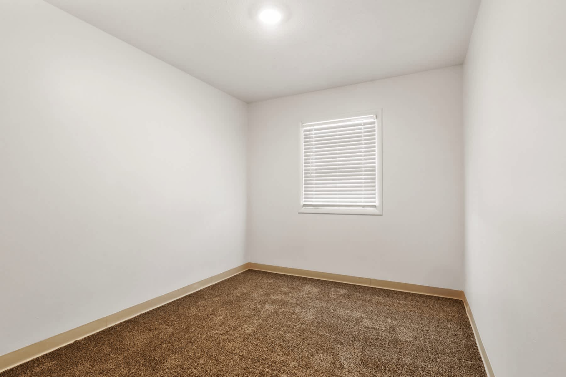 Country View Apartments – photo 3