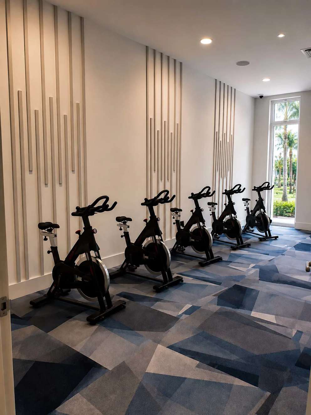 Velo – photo 5