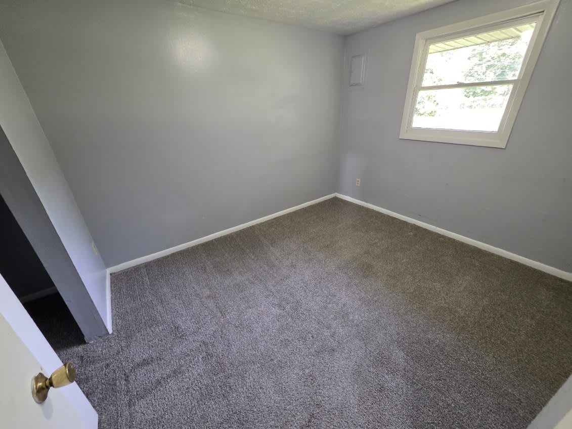 60 Magnolia-LPI – photo 5