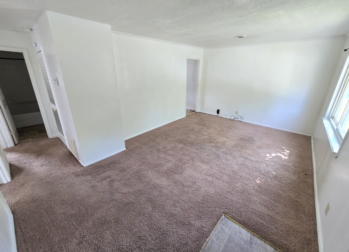 13 Ireland Street – photo 3