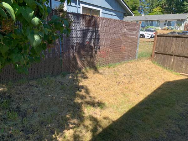 3329 Ward Avenue – photo 5
