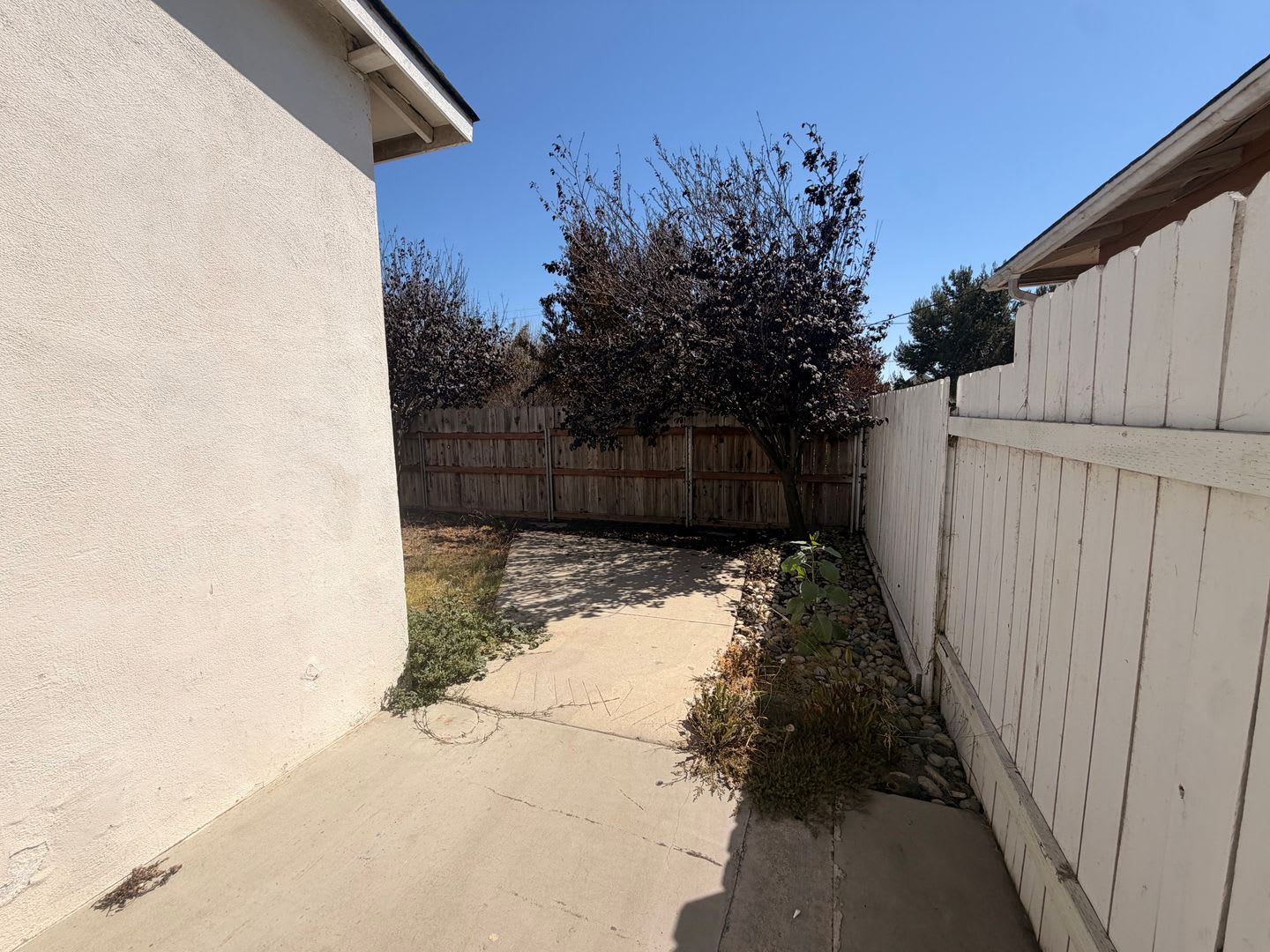 2150 Paso Robles Steet – photo 5