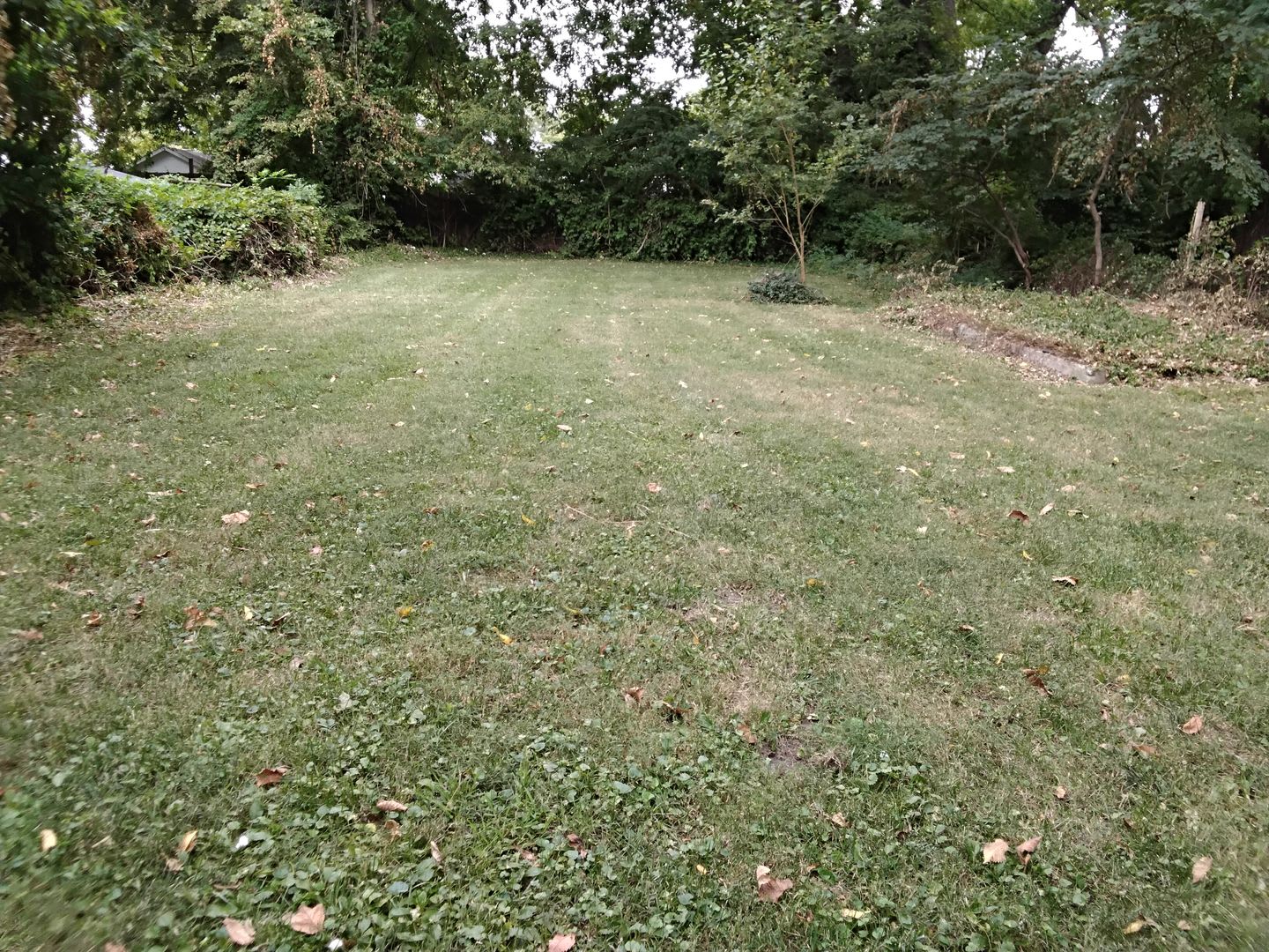 1/2 OFF MOVE IN AMOUNT! 1/2 OFF SECURITY! 2 Bed 1 Bath Home – photo 5