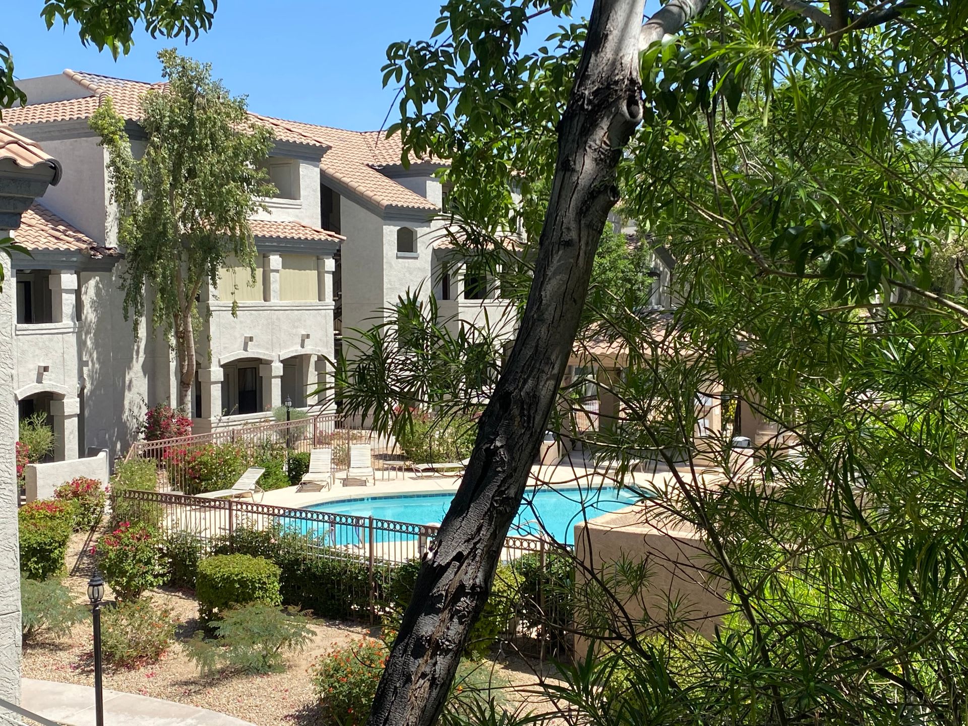 15095 N THoompson Peak Pkwy #2079 – photo 4