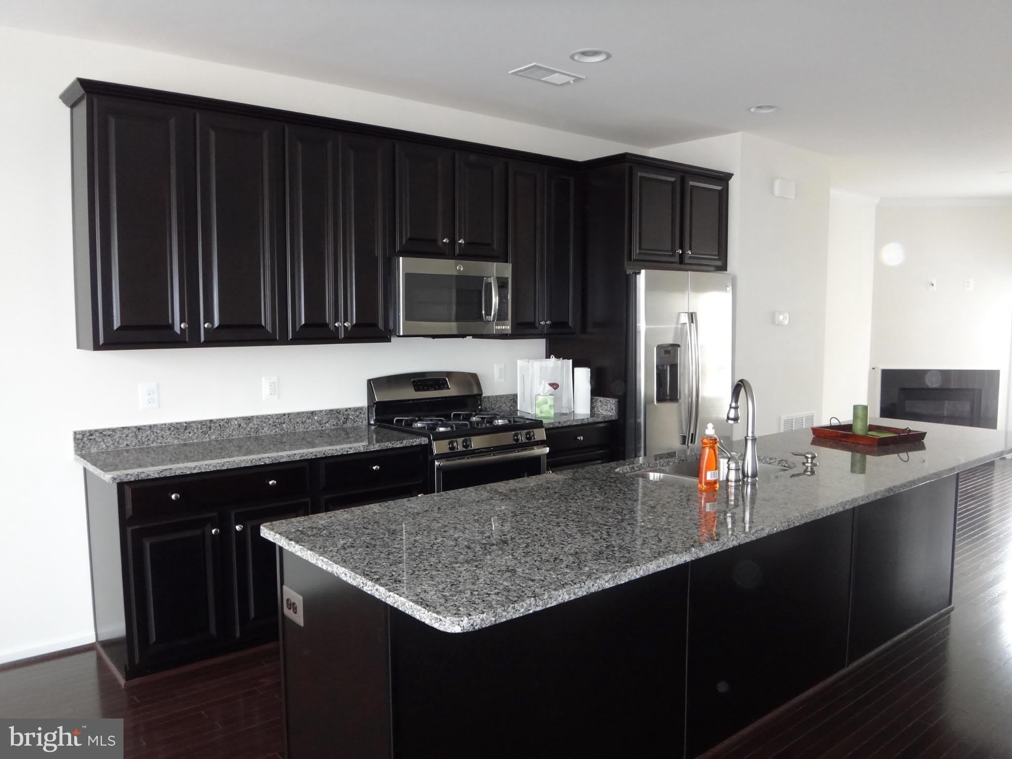 43297 NOVI Terrace – photo 4
