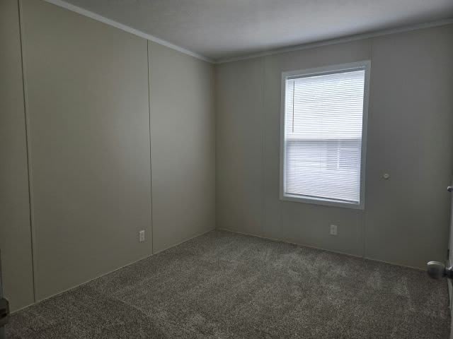 11417 5Th St Ne – photo 5