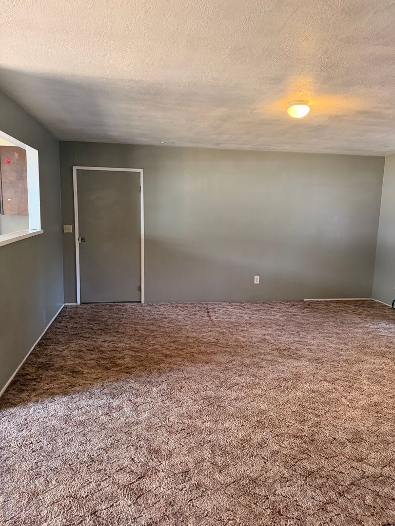 24 Short St – photo 3
