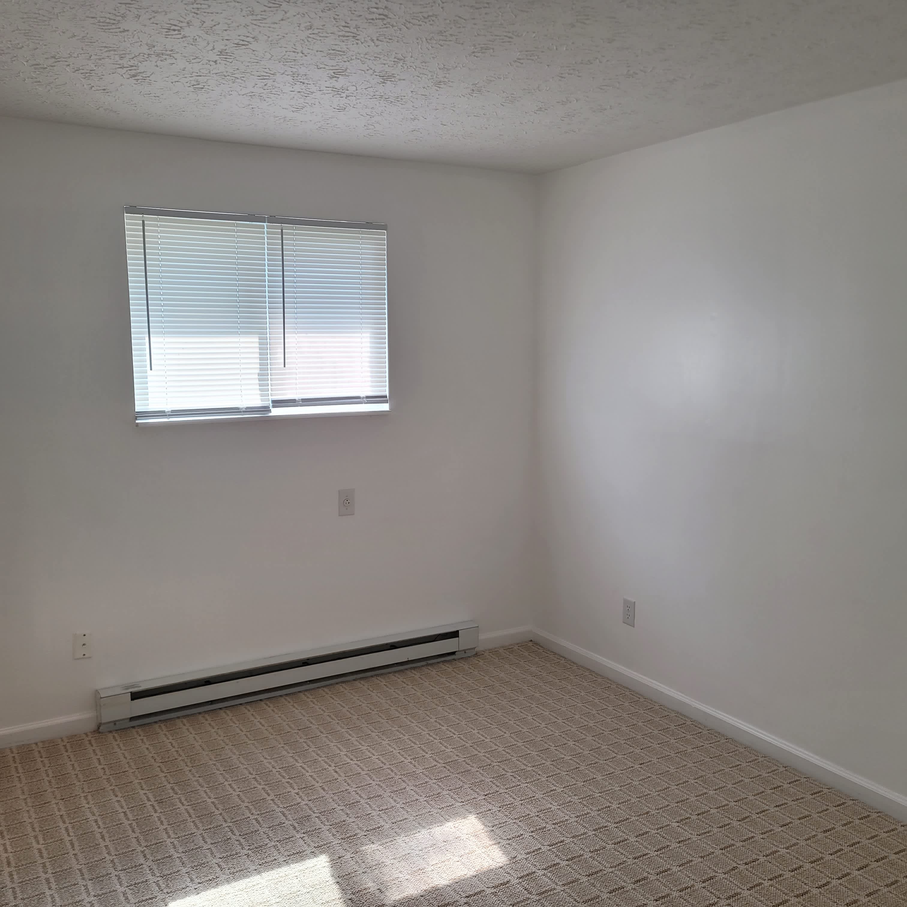 244 Martz Ave – photo 4