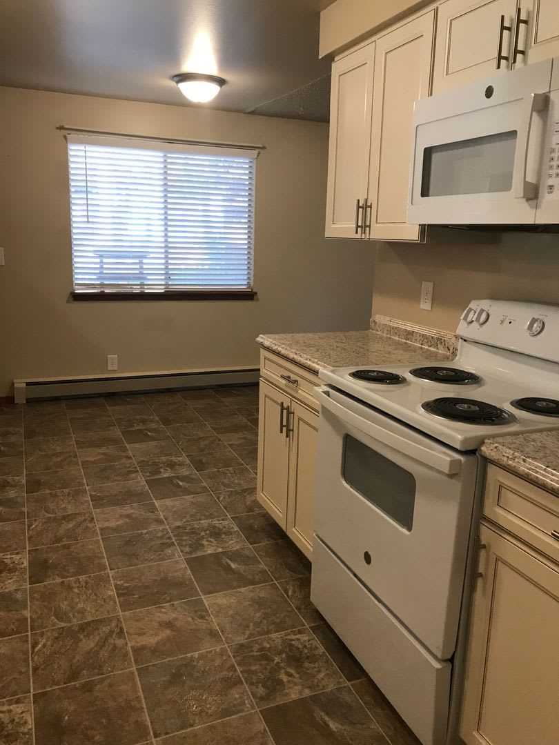 West Side Home w/ Large yard & Close to Campus! – photo 4