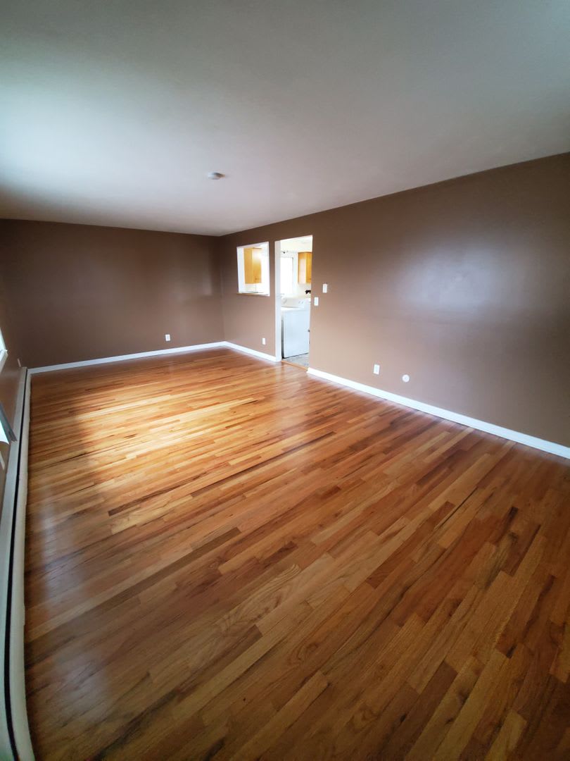 Charming 2 Bedroom, 1 bath- Lyncourt – photo 5