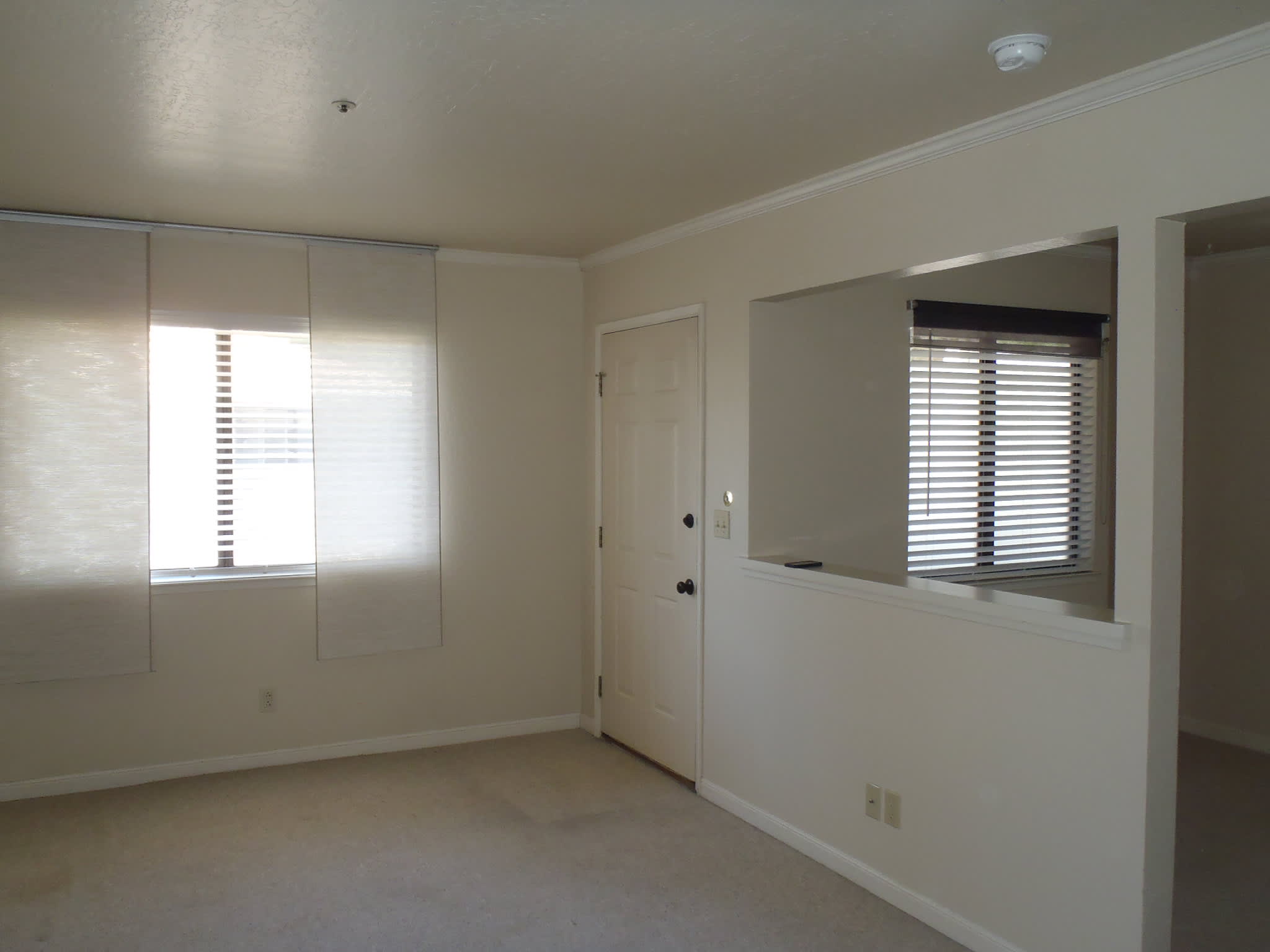 142 Belmont Street – photo 5