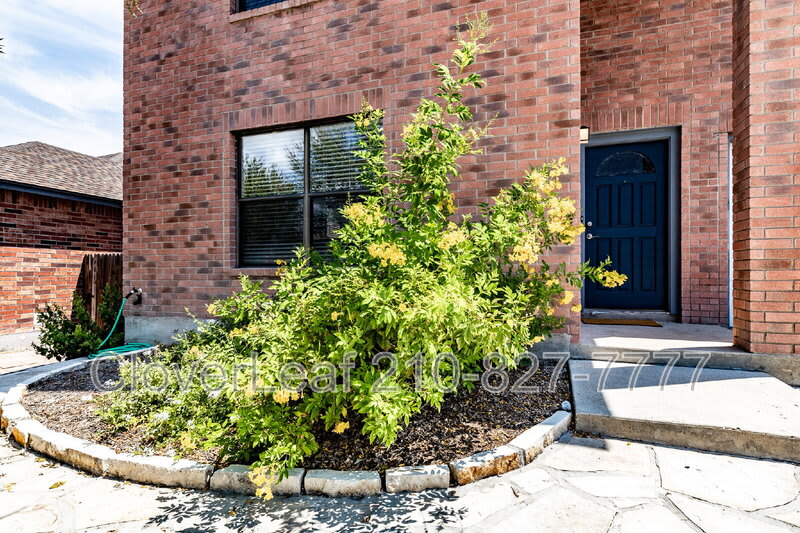 12214 Towering Elm – photo 4