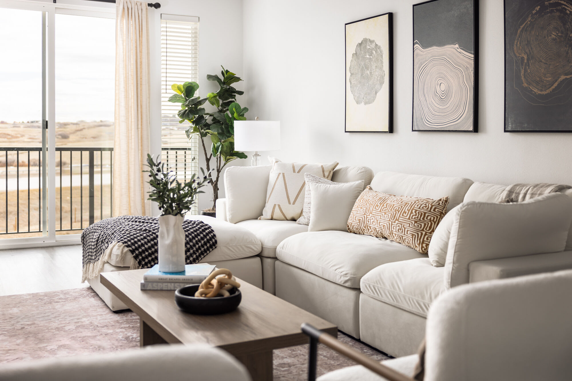 Citadel at Castle Pines Townhomes – photo 2