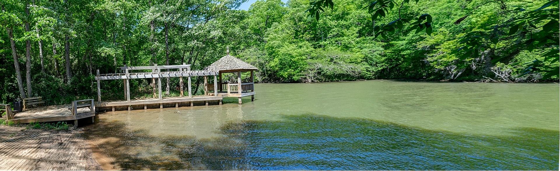 47 Misty Forest Drive – photo 3