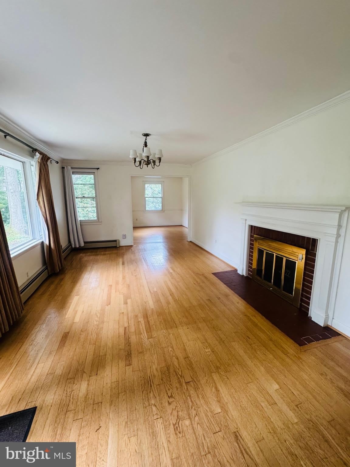 4046 ELIZABETH Lane – photo 3