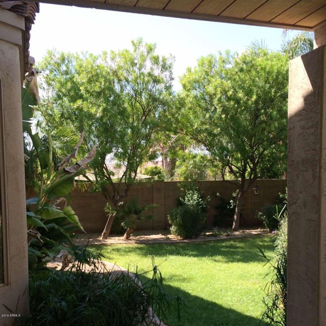 Perfect Chandler Location – photo 3