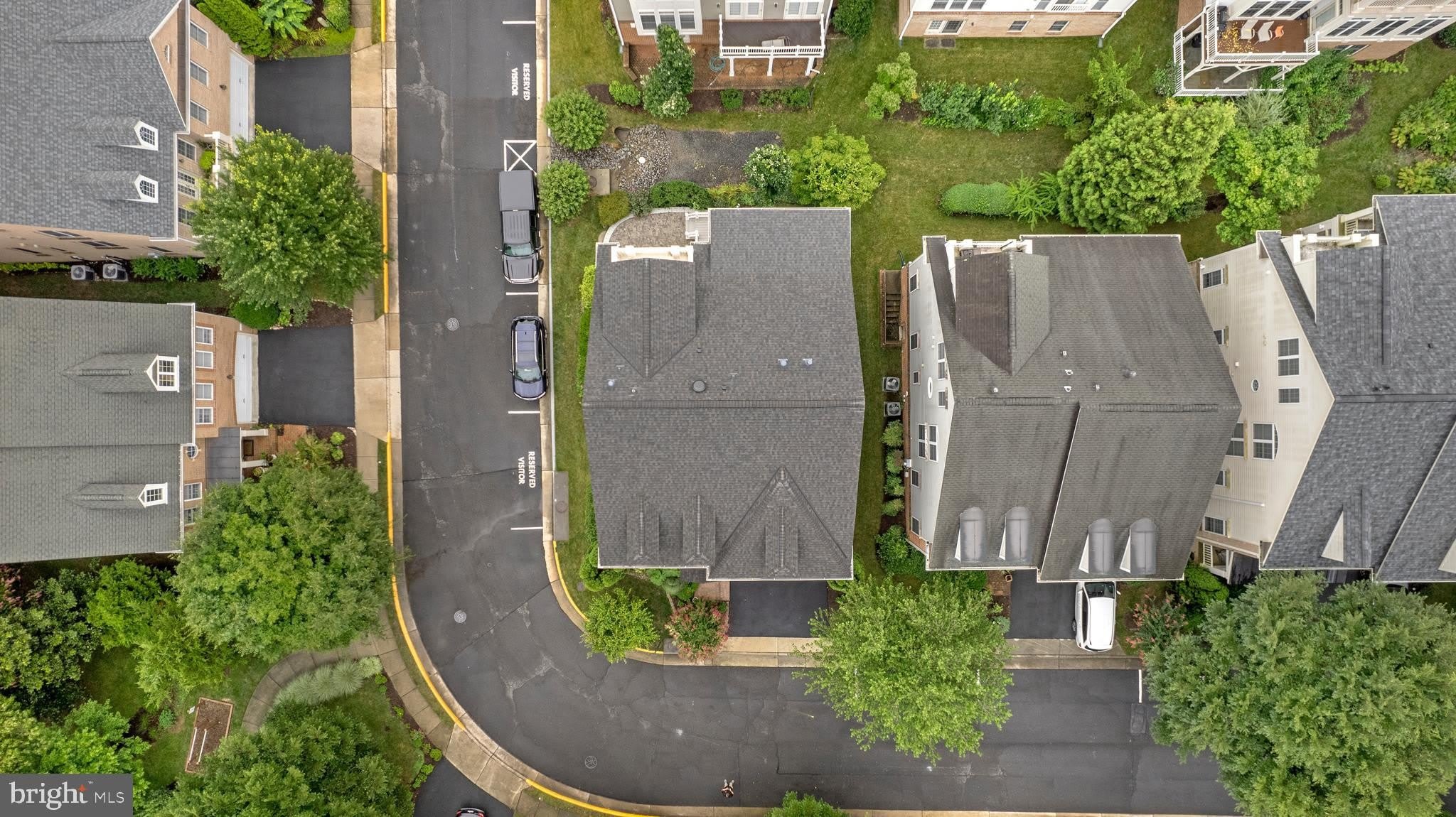 8880 OLIVE MAE Circle – photo 3