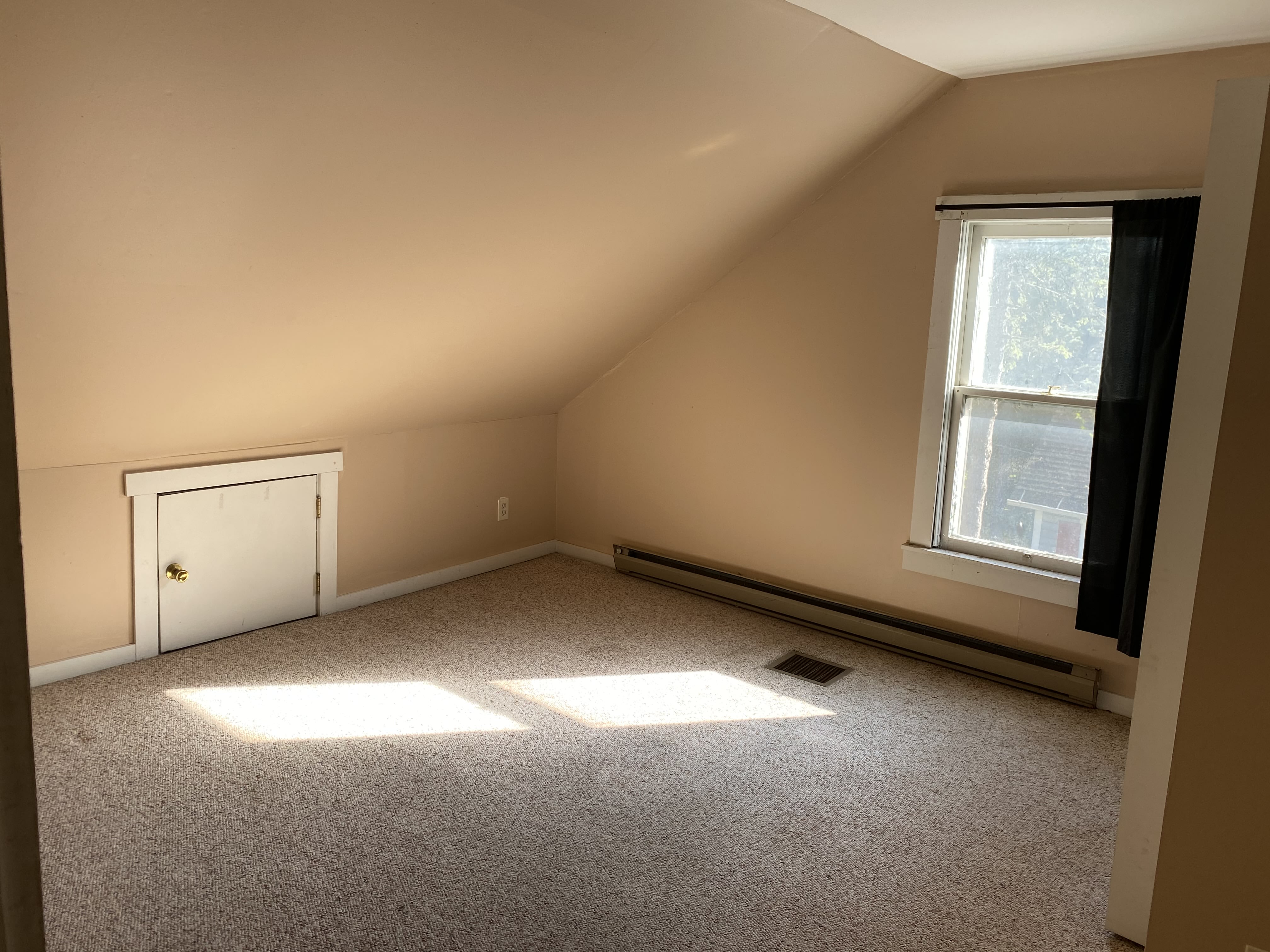 828 Elmwood Street – photo 5