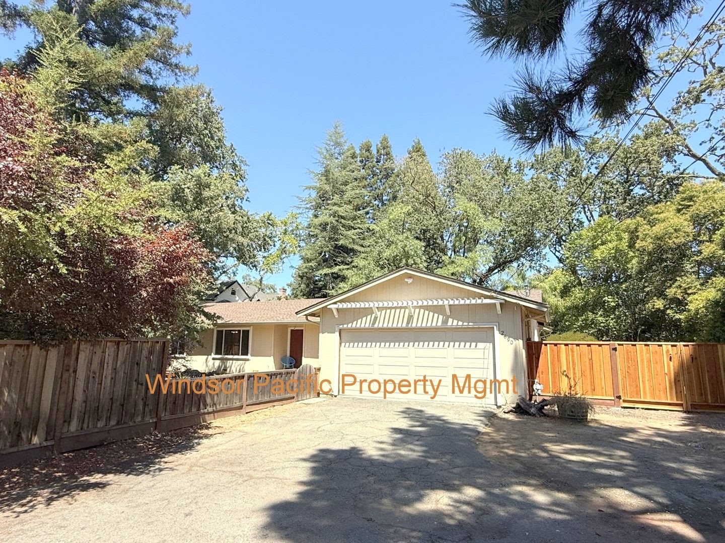 Remodeled one story home in highly desirable Alamo with huge park like yard! – photo 1