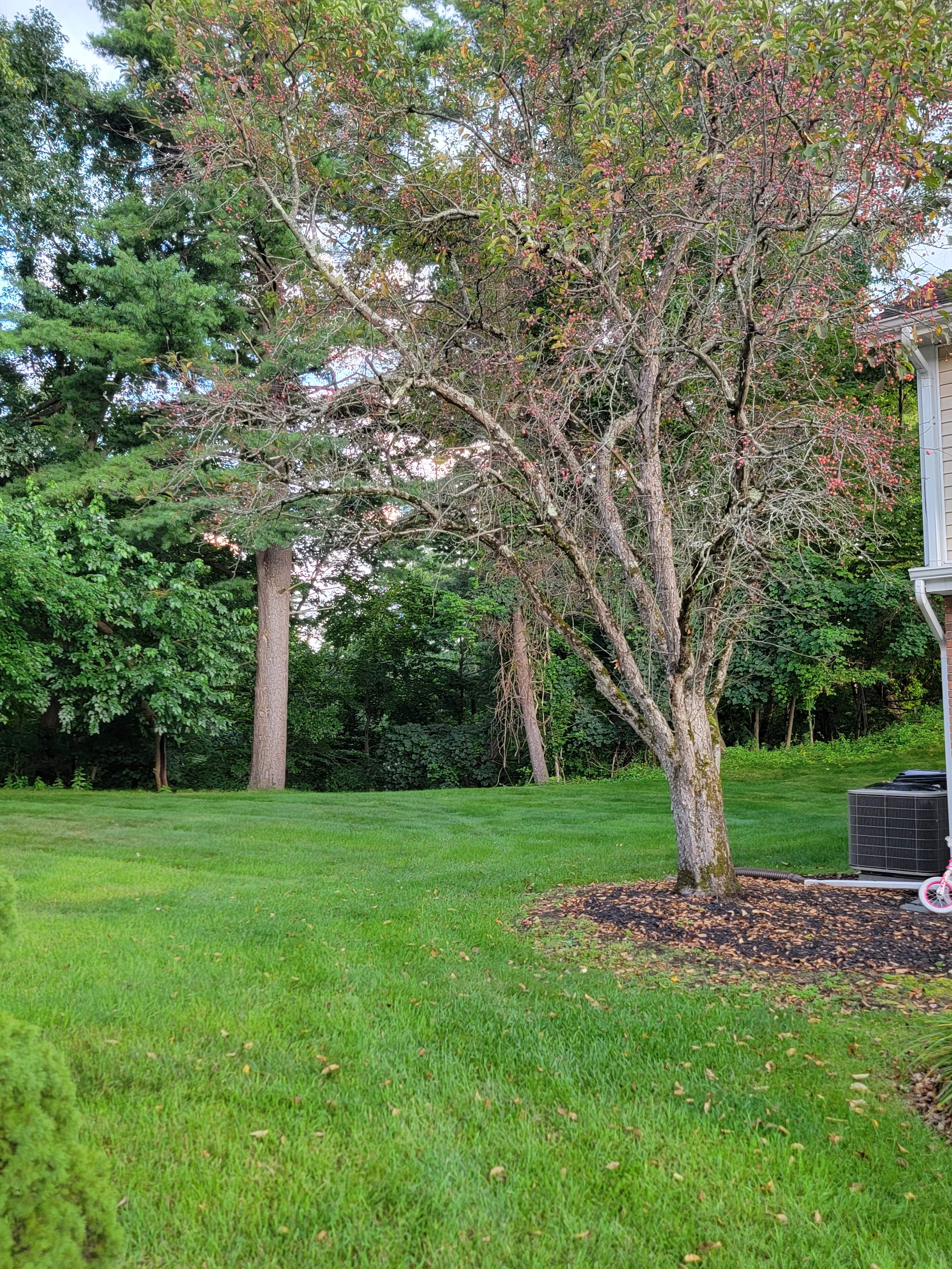 4039 Chaucer Place – photo 2