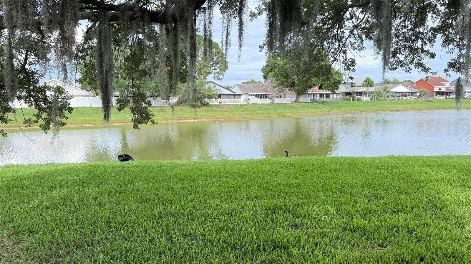 72 LAKEPOINTE Circle – photo 2