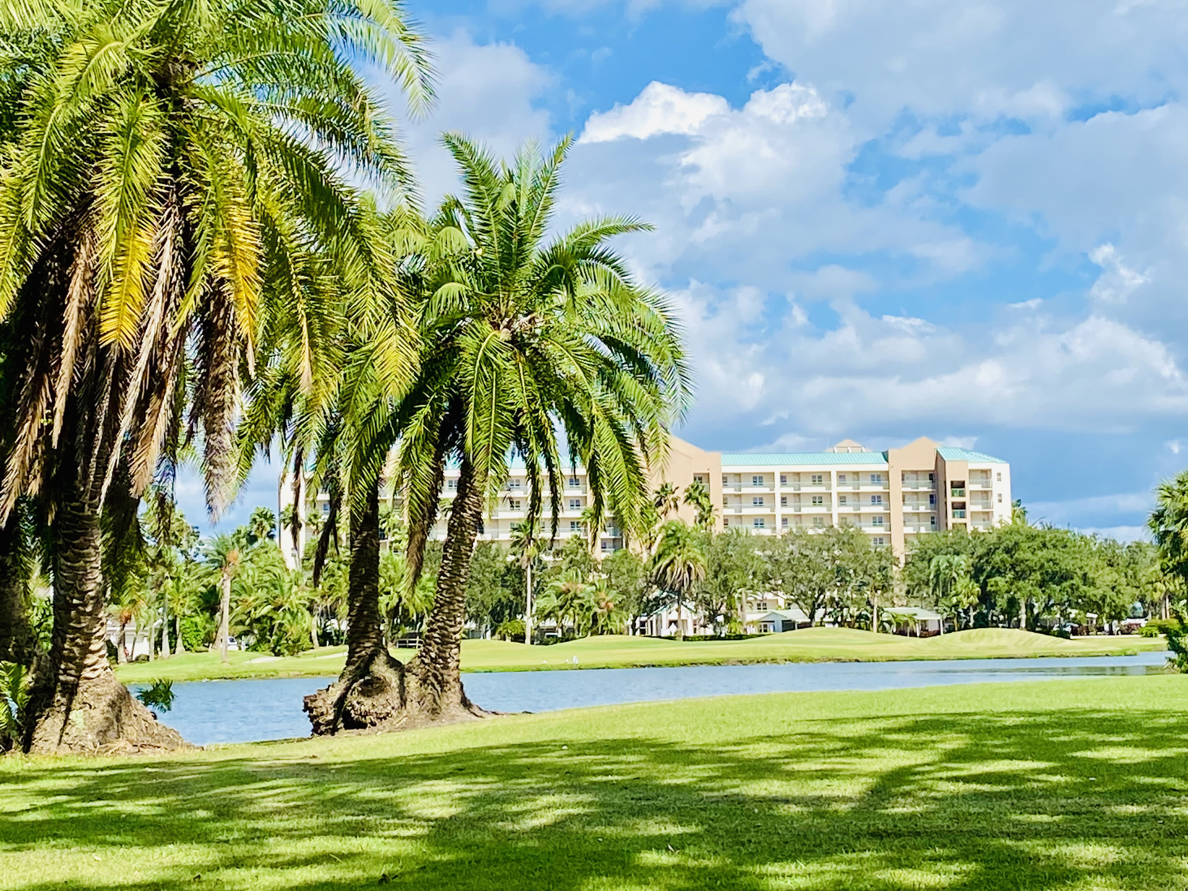 2320 Terra Ceia Bay Boulevard – photo 3