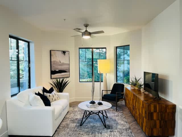 Elevation Luxury Apartments – photo 2