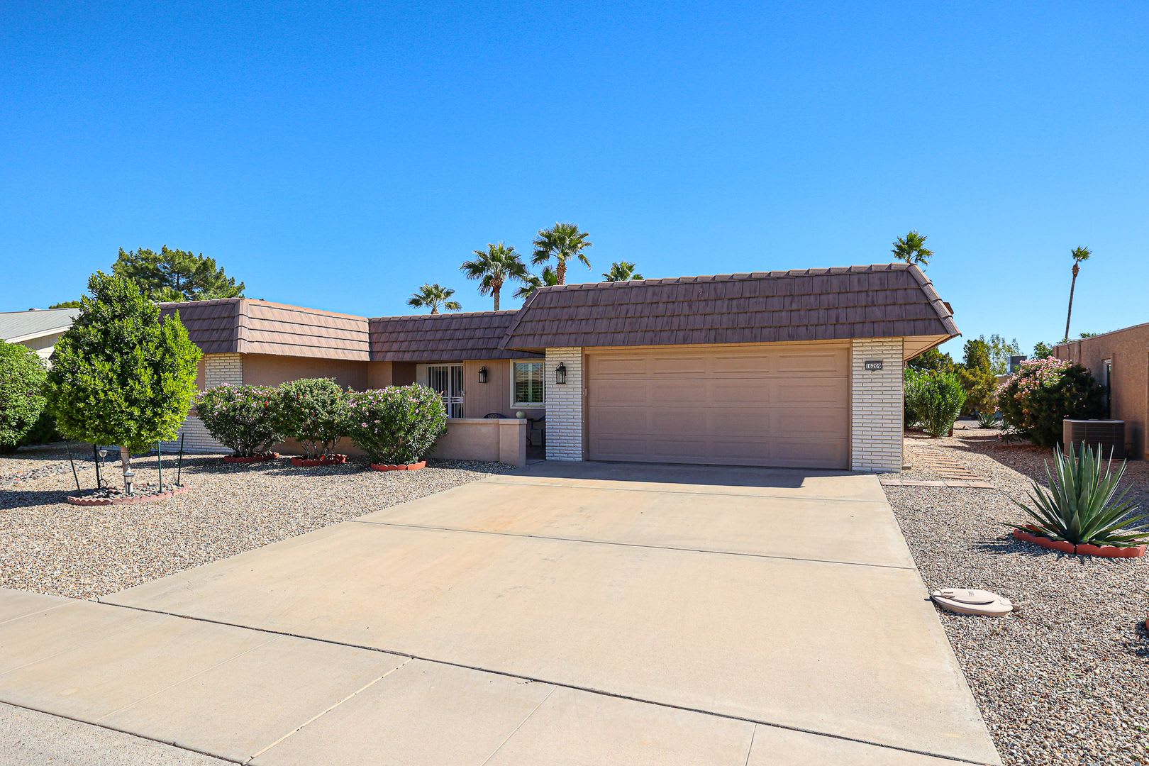 Large 2 Bedroom 55+ in Sun City – photo 2