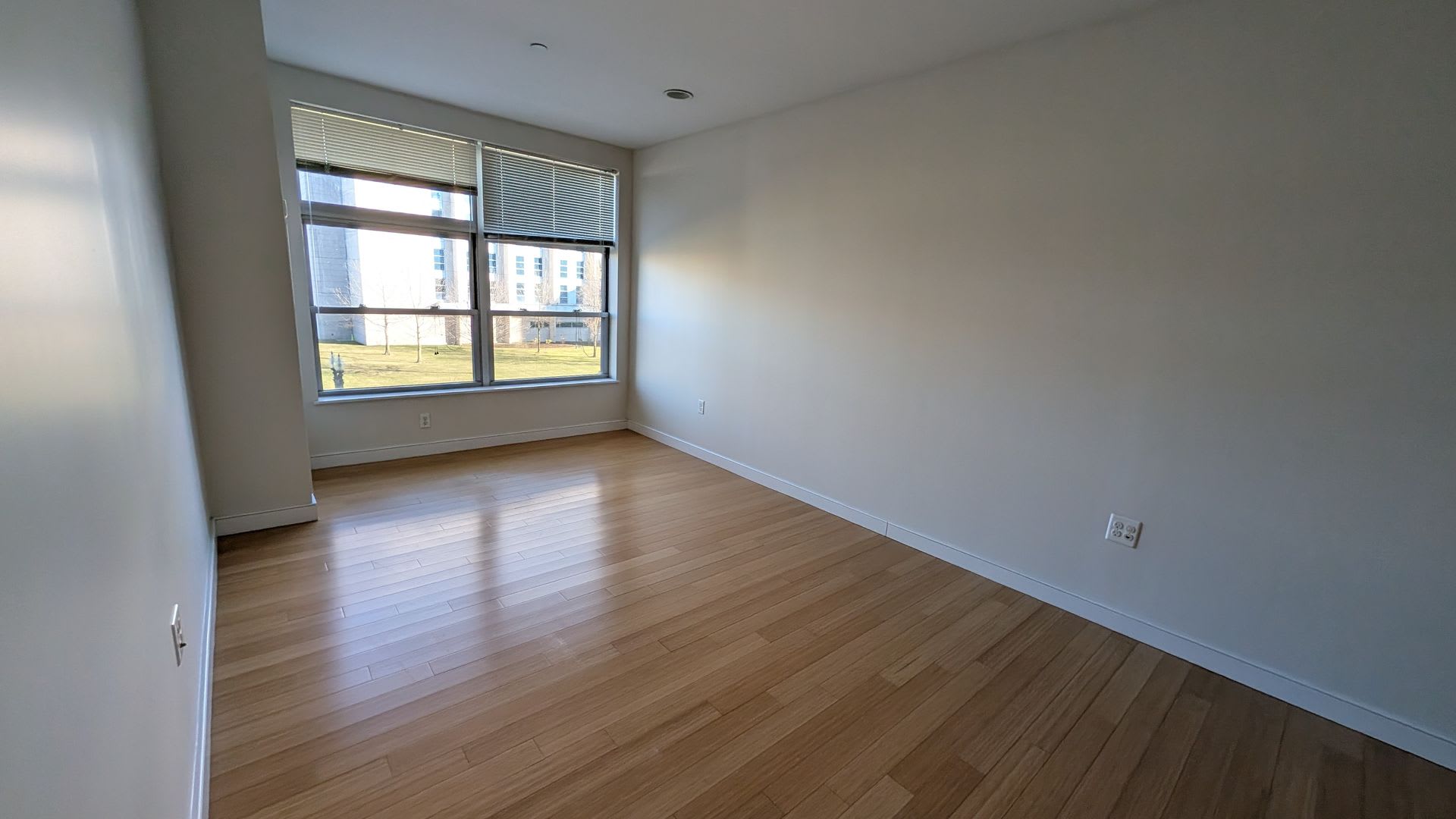 Bright Renovated 1 Bed In The South End – photo 3