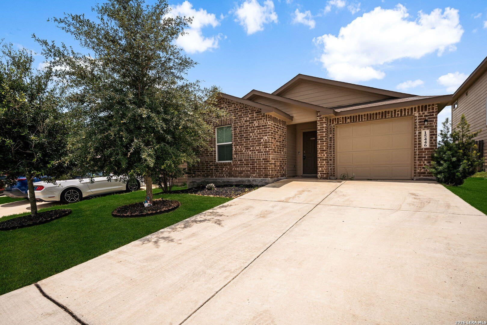 15446 Shortwing – photo 3
