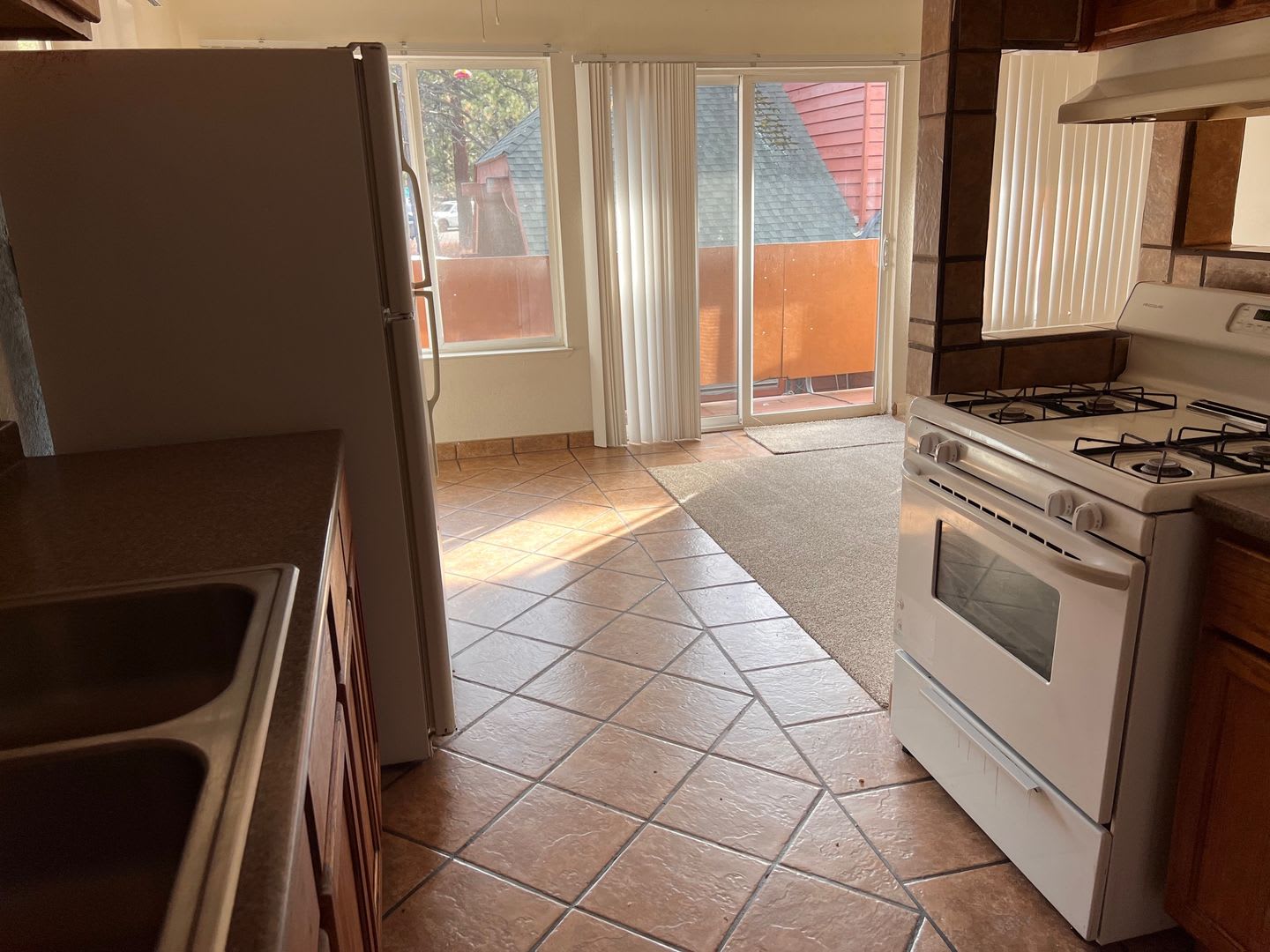 1232 Ski Run Blvd – photo 4
