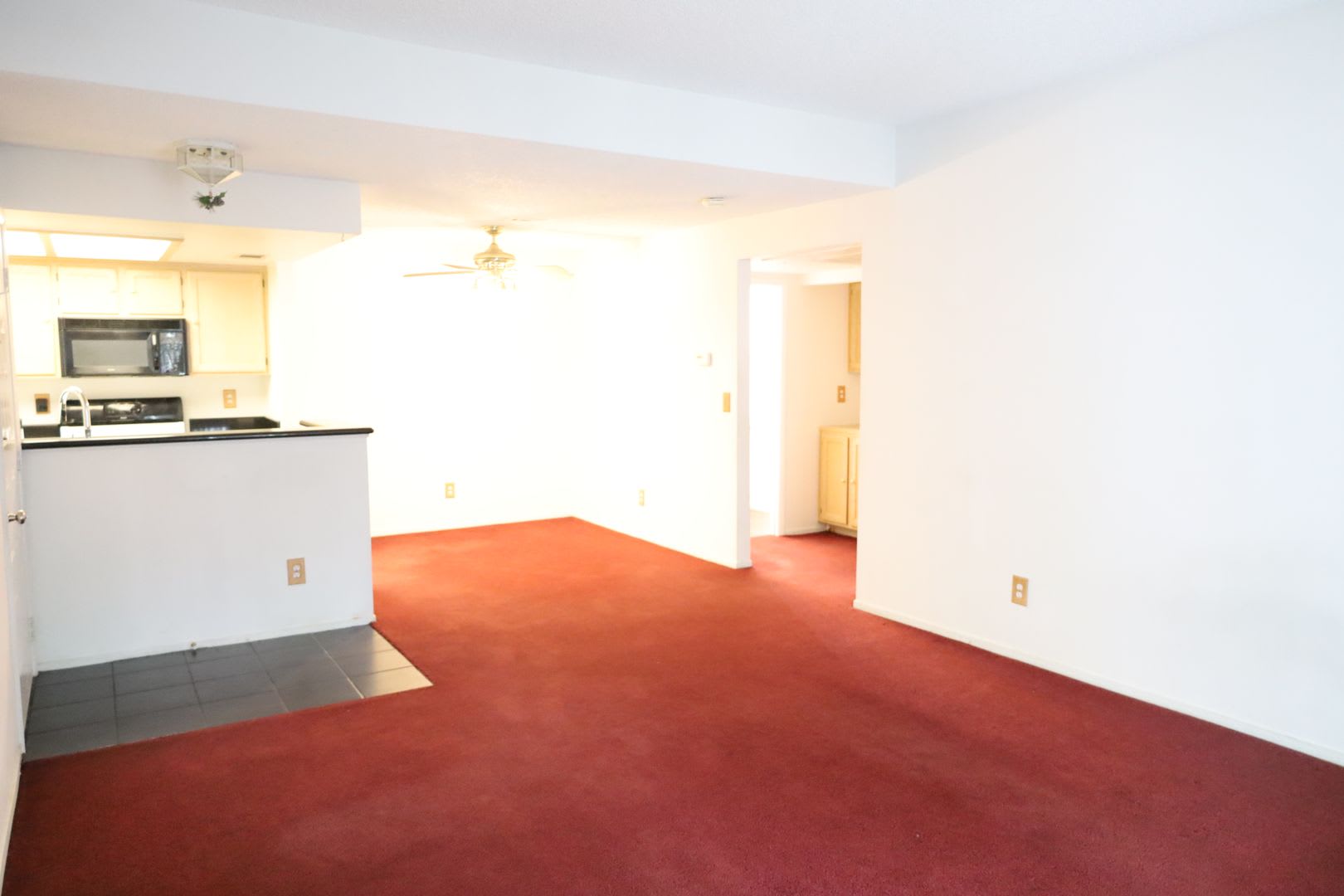Lovely One Bedroom One Bathroom Apartment! – photo 3
