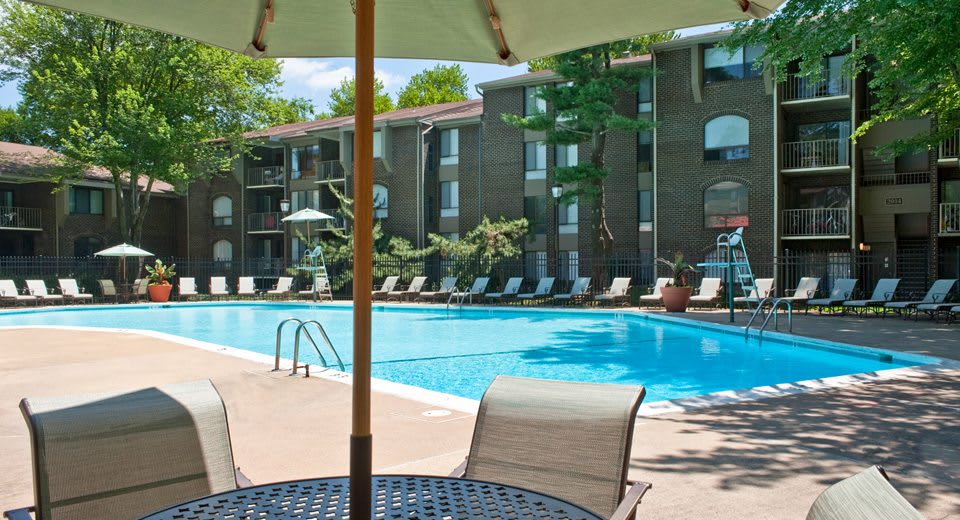 PeachTree of McLean – photo 5